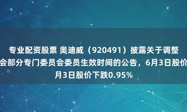 专业配资股票 奥迪威（920491）披露关于调整第四届董事会部分专门委员会委员生效时间的公告，6月3日股价下跌0.95%
