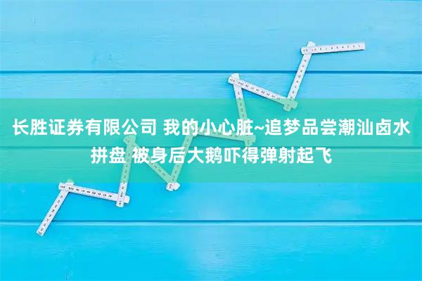 长胜证券有限公司 我的小心脏~追梦品尝潮汕卤水拼盘 被身后大鹅吓得弹射起飞